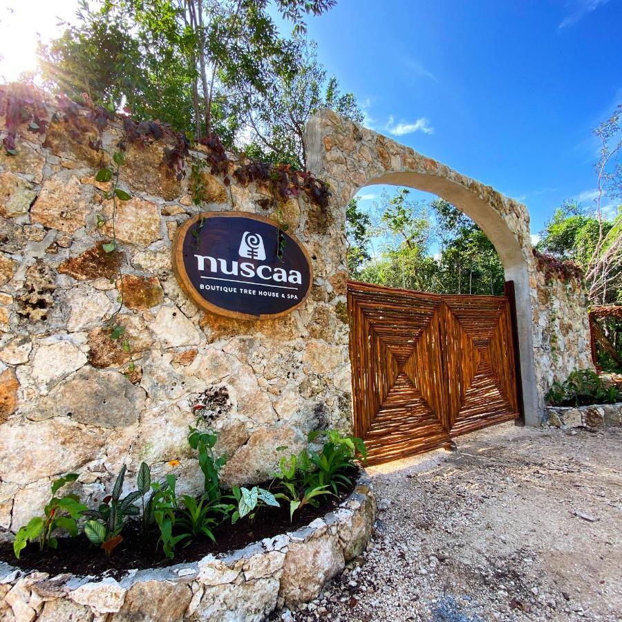 Hotel Nuscaa Boutique Tree House & Spa Puerto Morelos Exterior foto