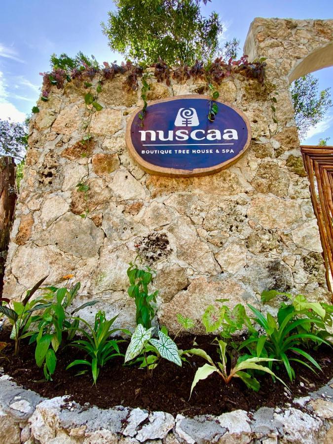 Hotel Nuscaa Boutique Tree House & Spa Puerto Morelos Exterior foto