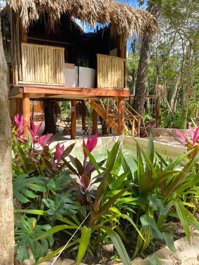 Hotel Nuscaa Boutique Tree House & Spa Puerto Morelos Exterior foto
