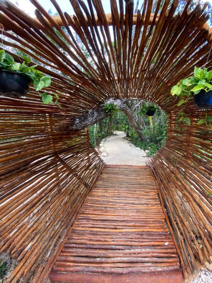 Hotel Nuscaa Boutique Tree House & Spa Puerto Morelos Exterior foto