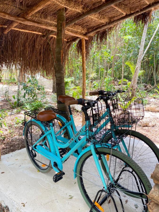 Hotel Nuscaa Boutique Tree House & Spa Puerto Morelos Exterior foto