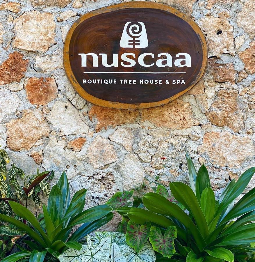 Hotel Nuscaa Boutique Tree House & Spa Puerto Morelos Exterior foto