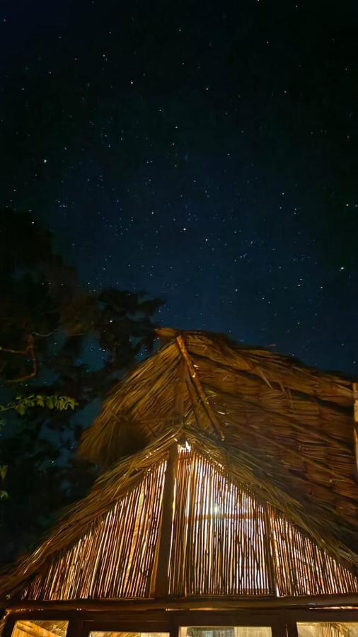 Hotel Nuscaa Boutique Tree House & Spa Puerto Morelos Exterior foto